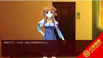 九条沙罗最新爆料,揭秘娱乐圈背后的惊人真相！